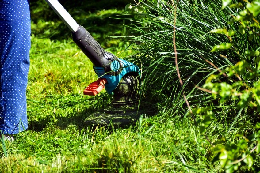 Commercial Lawn Care
