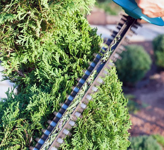 Lawn Care Resources