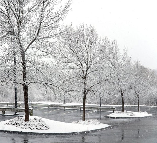 Snow Removal Resources